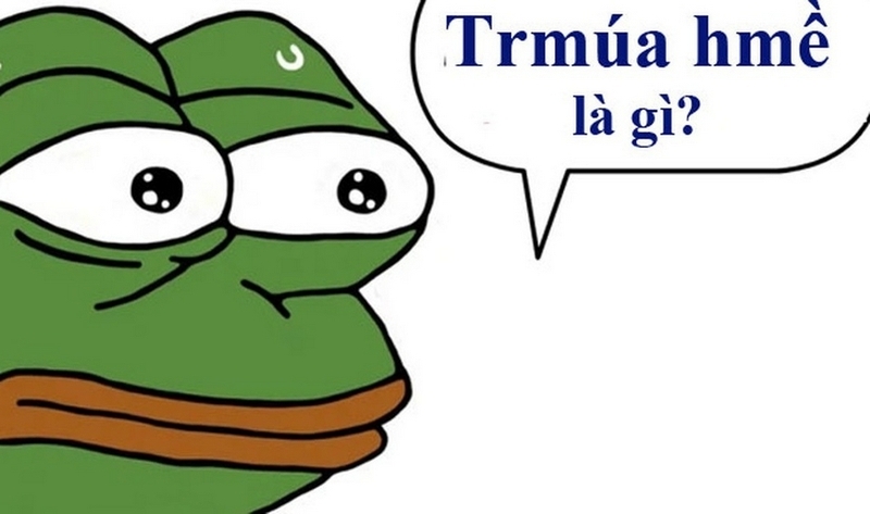 trmúa hmề là gì ảnh 1