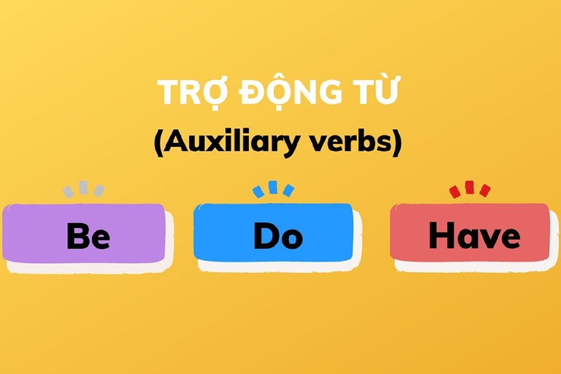 tro-dong-tu-la-gi-2.jpg