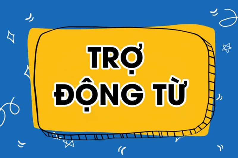 tro-dong-tu-la-gi-8.jpg