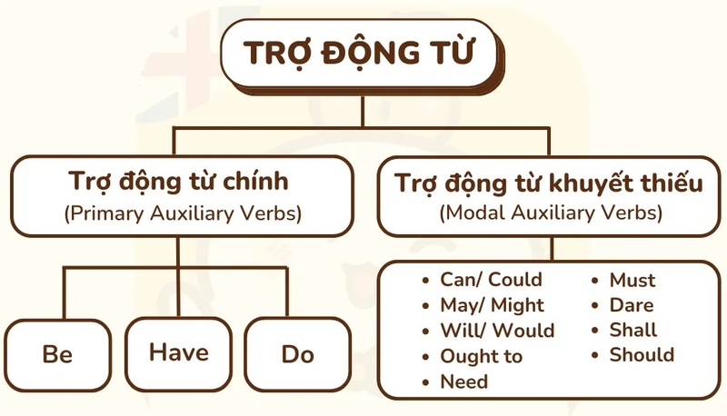 tro-dong-tu-la-gi-9.jpg