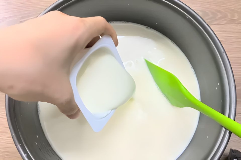 trộn men sữa chua