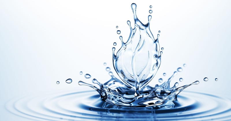 Trọng lượng là gì 6