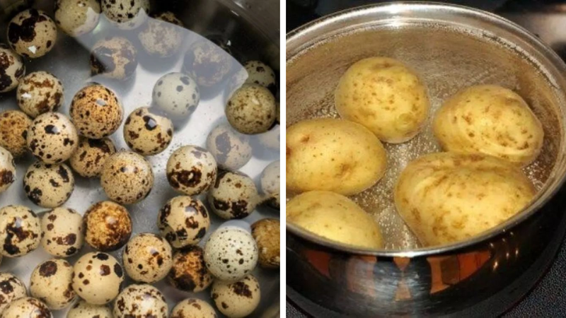 Trứng cút bách hoa 3