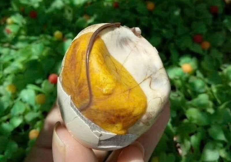Trứng gà lộn ảnh 2