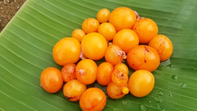 trứng non sốt thái (hình 2)