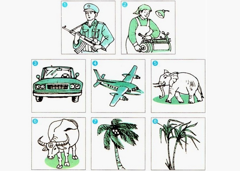 từ chỉ sự vật là gì ảnh 1