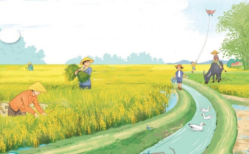 từ chỉ sự vật là gì ảnh 2