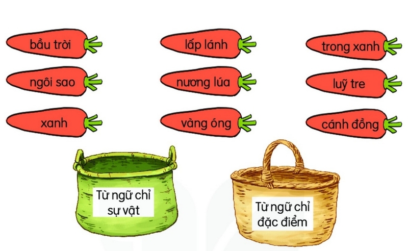 từ chỉ sự vật là gì ảnh 5