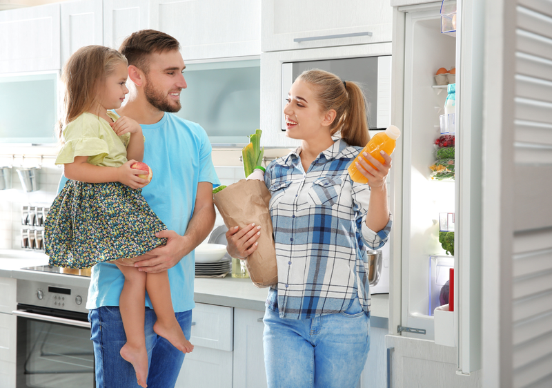 tủ lạnh 160 lít (ảnh 2)