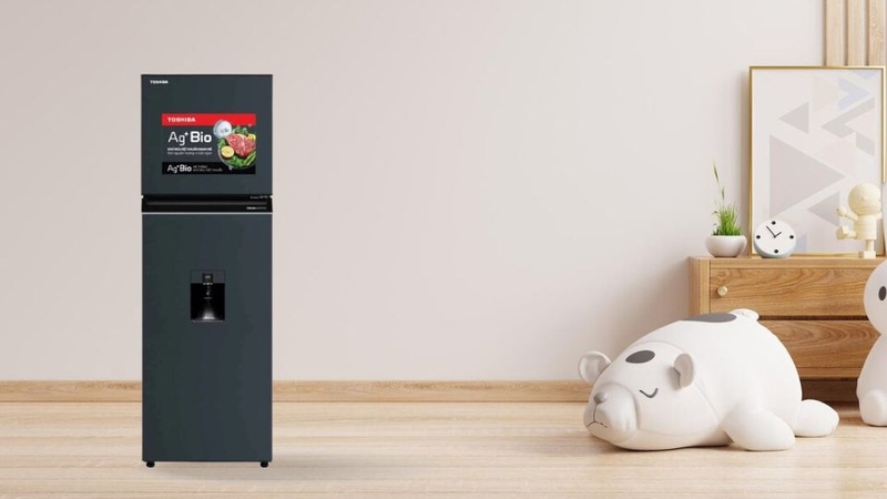 Tủ lạnh Toshiba Inverter 249 lít GR-RT325WE-PMV(06)-MG