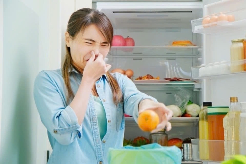 Tủ lạnh bị mùi thức ăn lên men ảnh 2