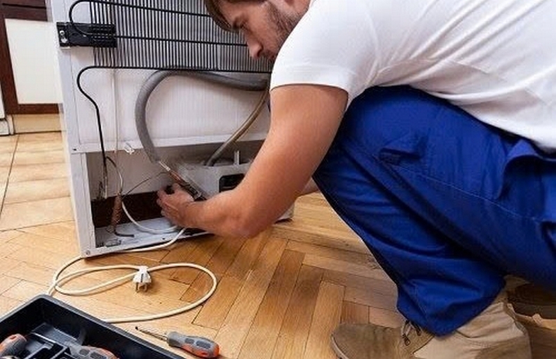Tủ lạnh bị mùi thức ăn lên men ảnh 5