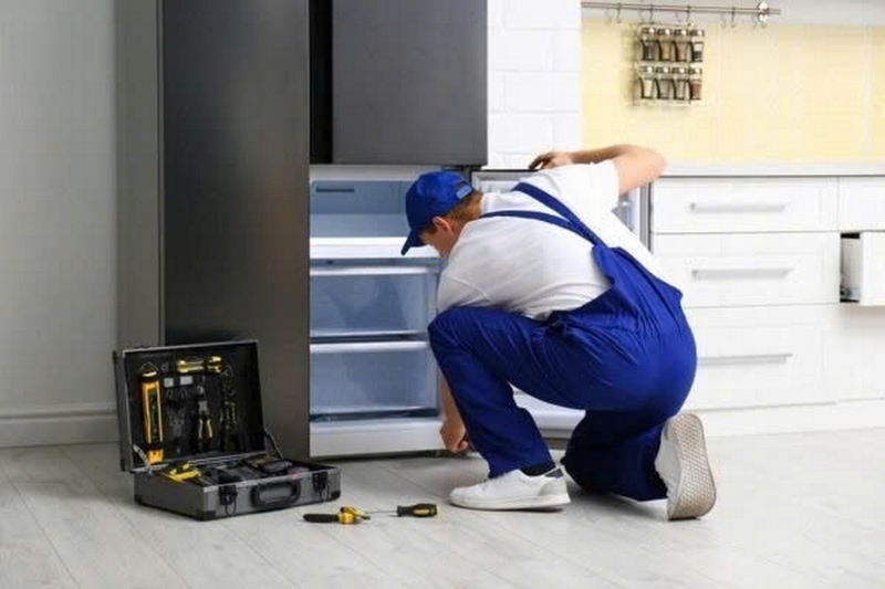 Tủ lạnh bị mùi thức ăn lên men ảnh 7