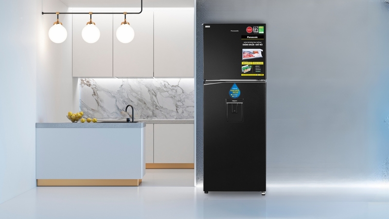 tủ lạnh lấy nước ngoài Panasonic (ảnh 5)