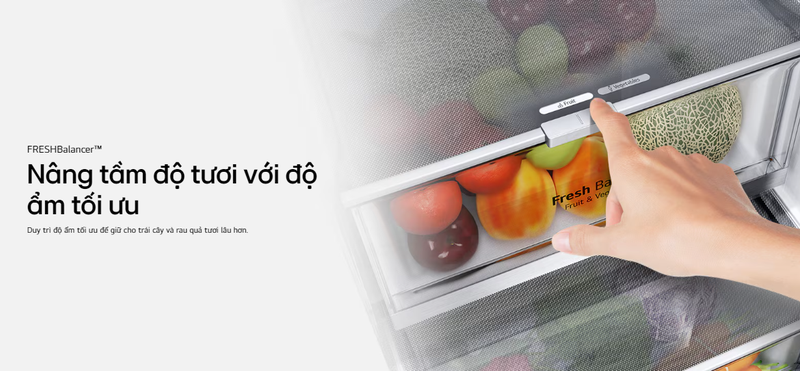 Ngăn chứa tiện lợi tủ lạnh LG