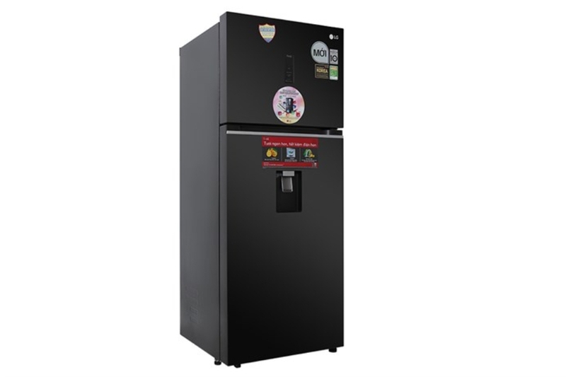 tủ lạnh lg gn-d392bla hình 2