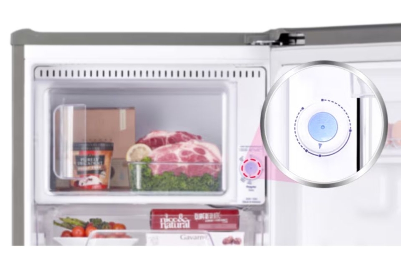 tu-lanh-lg-inverter-195-lit-lob16bgm-5.jpg