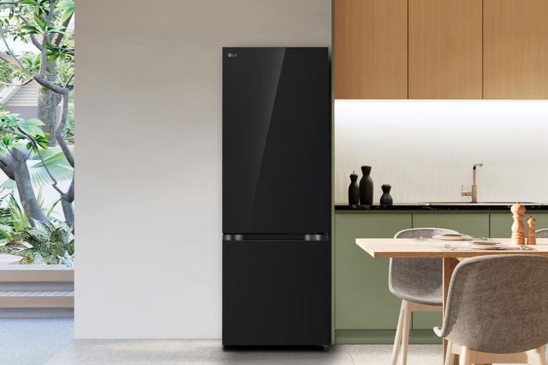 tu-lanh-lg-inverter-335-lit-lbb33blga-10.jpg