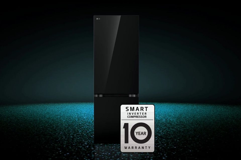 tu-lanh-lg-inverter-335-lit-lbb33blga-6.jpg