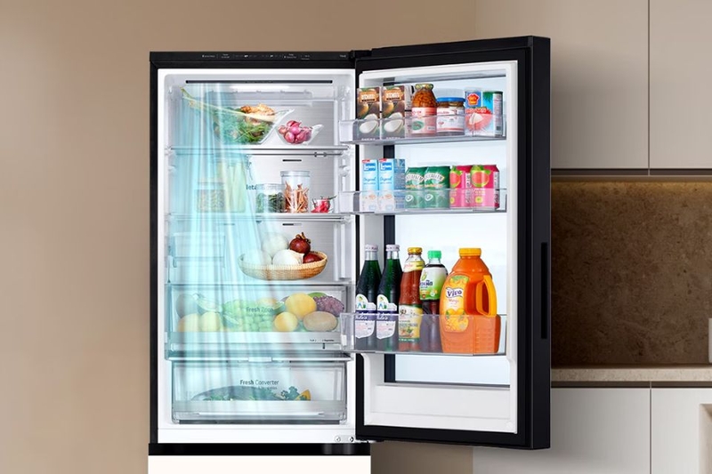 tu-lanh-lg-inverter-340-lit-lbb33bgmai-4.jpg
