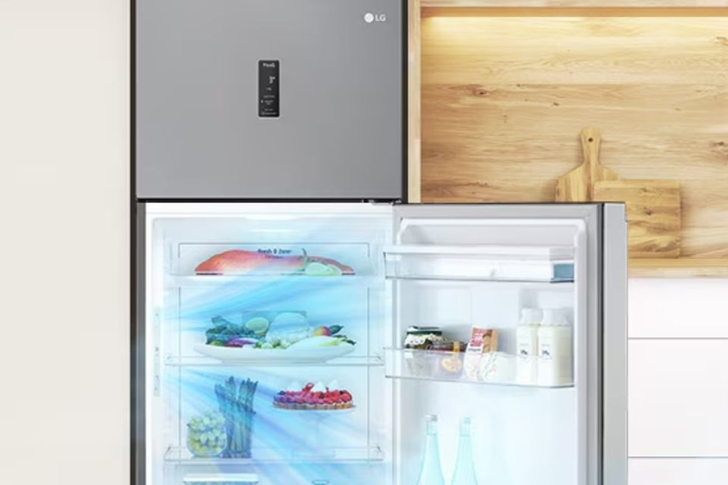 Tính năng làm mát thông minh trên tủ lạnh LG LTD46BLMA