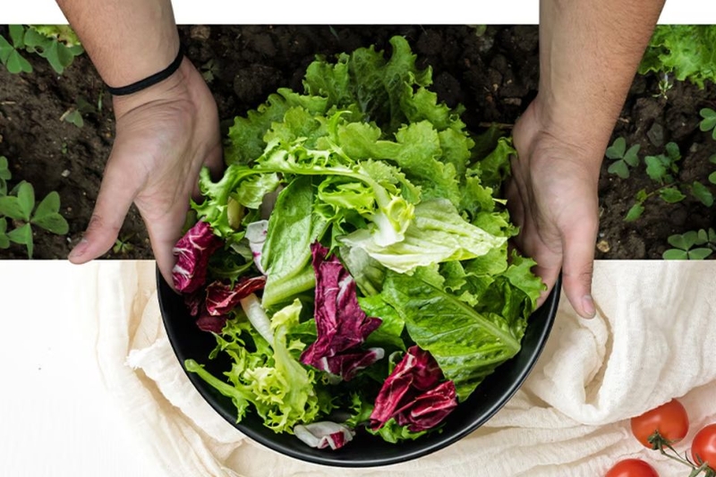 Nhiệt độ ổn định, giữ rau củ tươi giòn