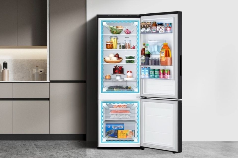 Tủ lạnh LG tốt nhất 2026 1