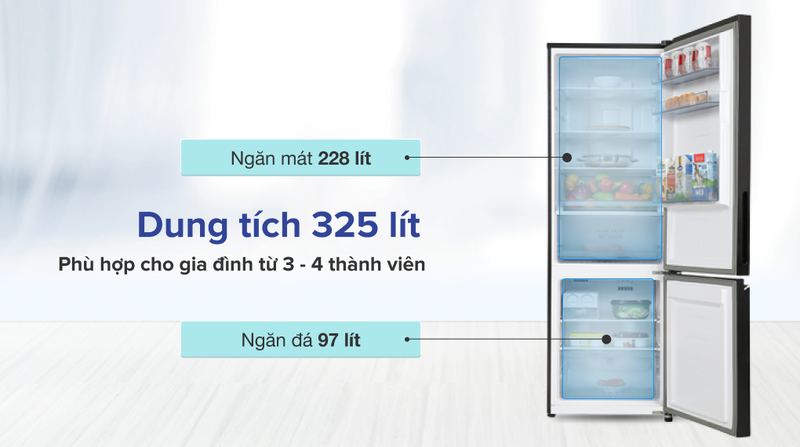 dung tich tu lanh panasonic inverter 325 lit