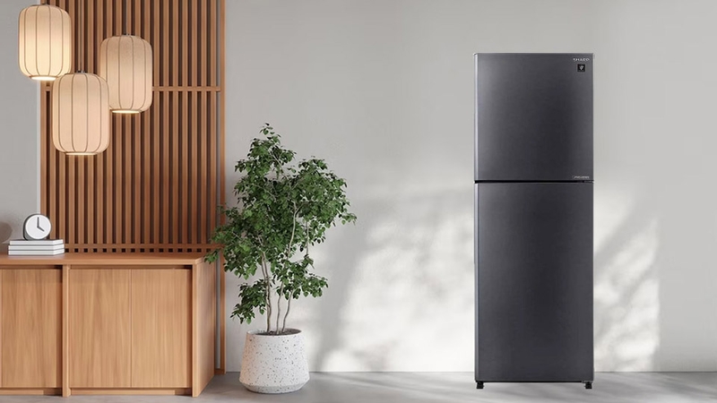 Thiết kế tủ lạnh Sharp