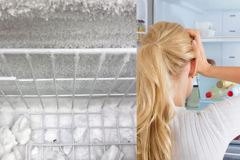 Tủ lạnh Sharp kh&ocirc;ng xả đ&aacute; (2)