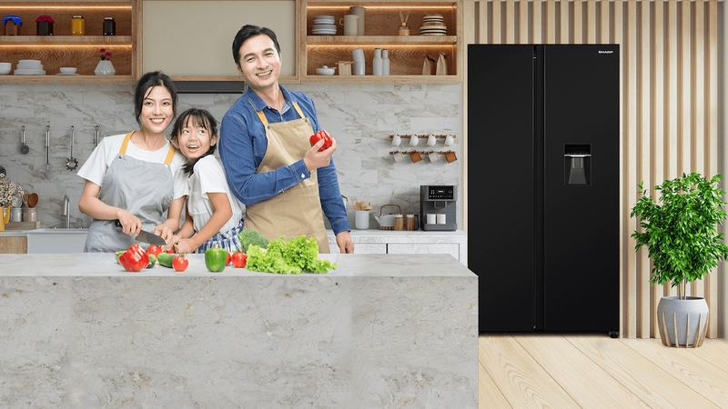 tủ lạnh side by side dung tích lớn ảnh 9