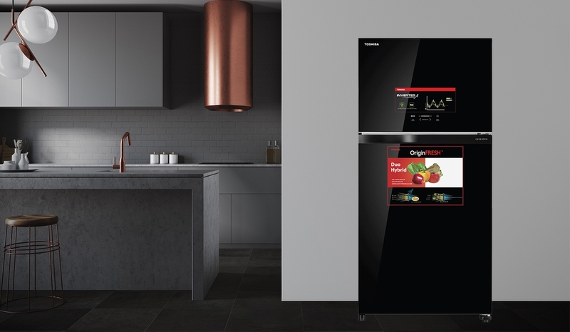 tủ lạnh toshiba 2 cánh hình 10