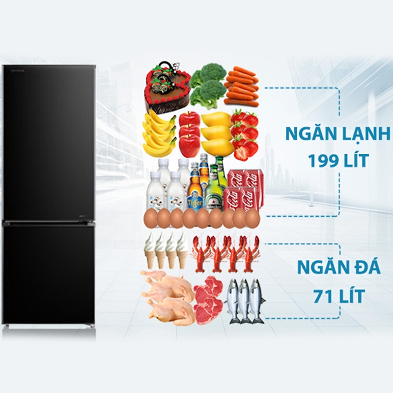 tủ lạnh toshiba 2 cánh hình 3