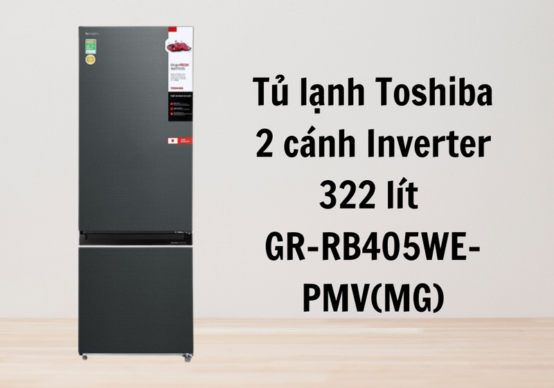 tủ lạnh toshiba 2 cánh hình 8