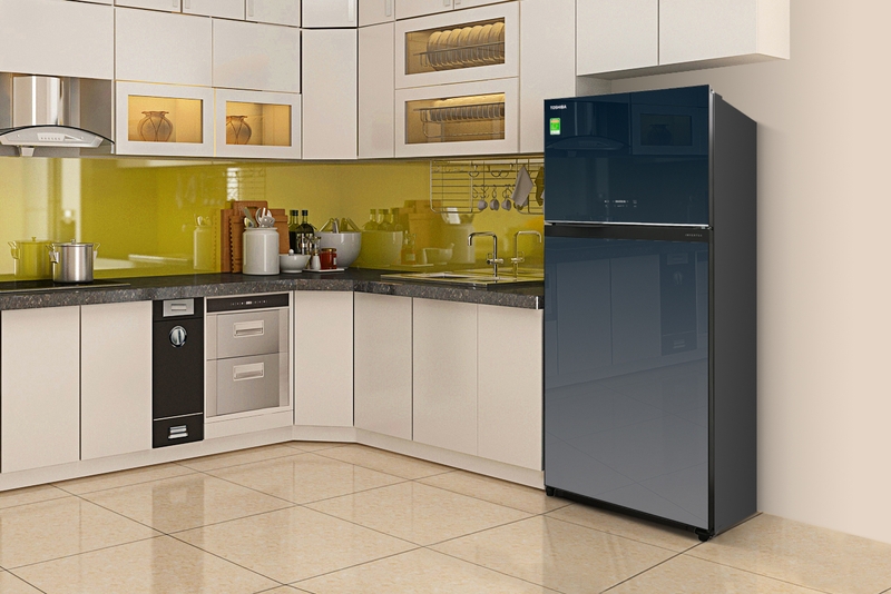 tủ lạnh toshiba 2 cánh hình 9
