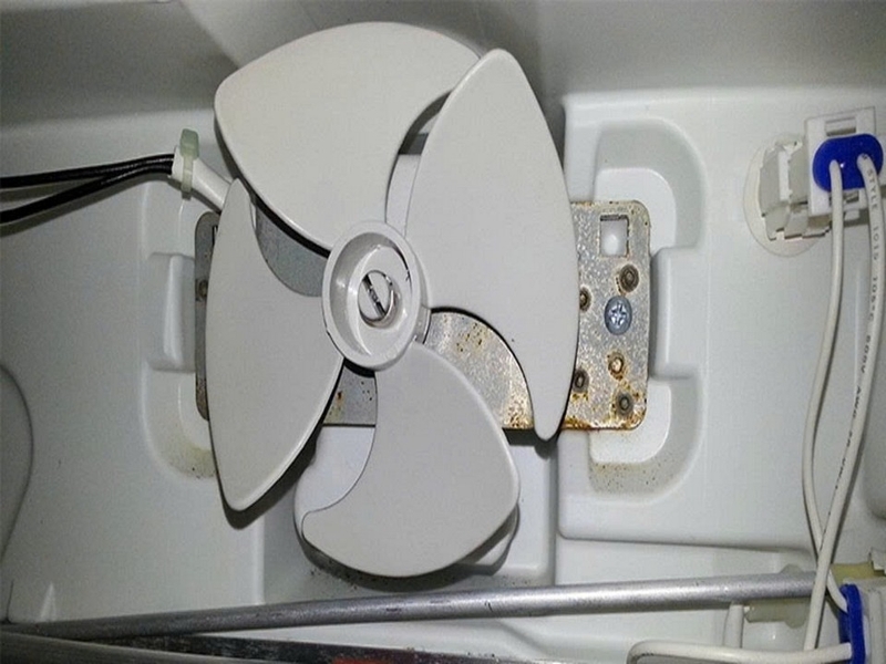 tủ lạnh Toshiba phát ra tiếng kêu lạ ảnh 5