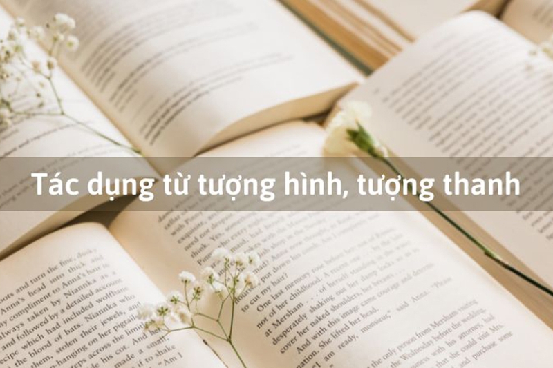 tu-tuong-hinh-tu-tuong-thanh-2.jpg