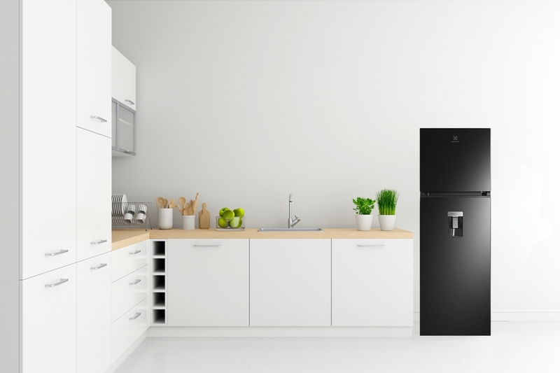 tư vấn mua tủ lạnh Electrolux tốt nhất ảnh 2
