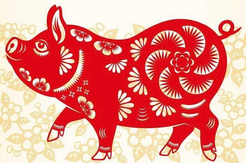 Tử vi tuổi Hợi 2025 ảnh 7