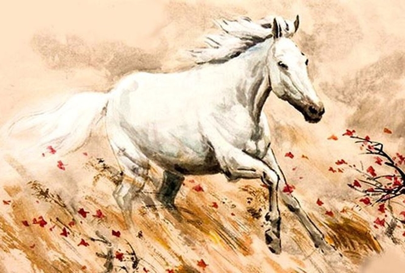 Tử vi tuổi Ngọ 2025 1