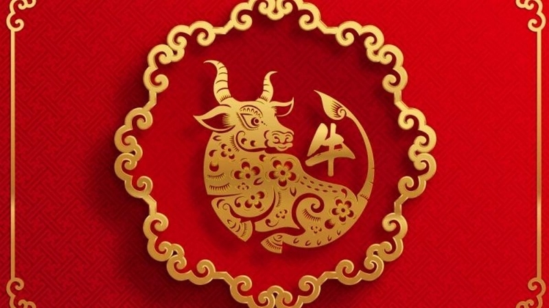 Tử vi tuổi Sửu 2025 6