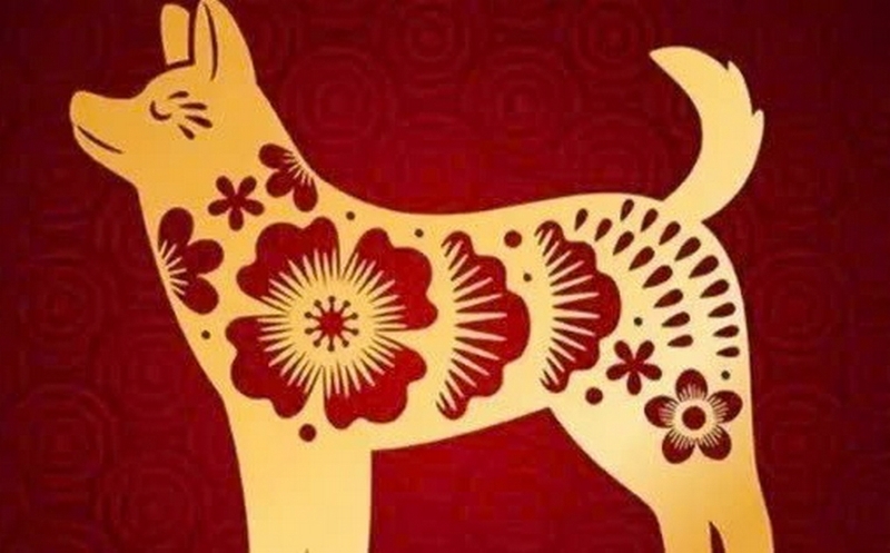 Tử vi tuổi Tuất 2025 ảnh 6