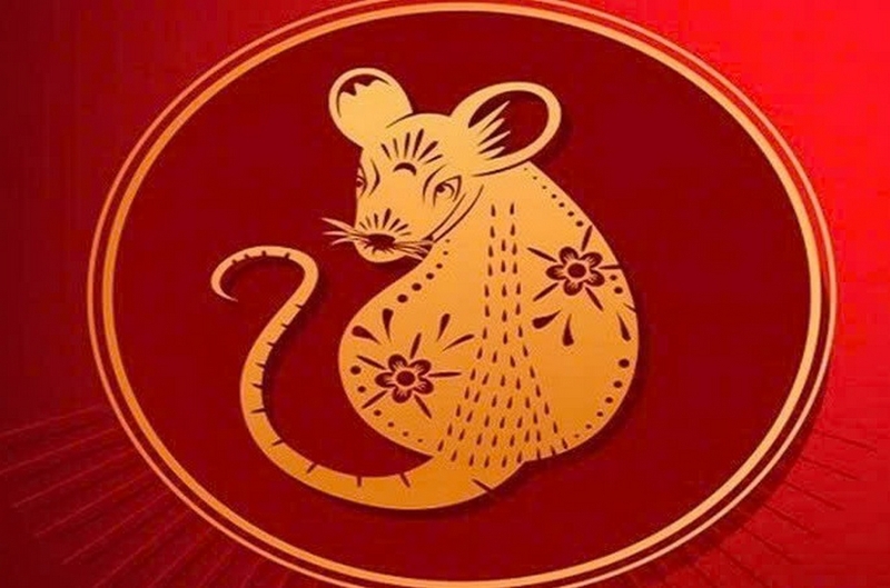 Tử vi tuổi Tý 2025 ảnh 1