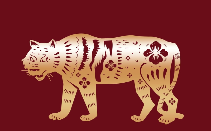 tuổi dần hợp màu gì hình 1