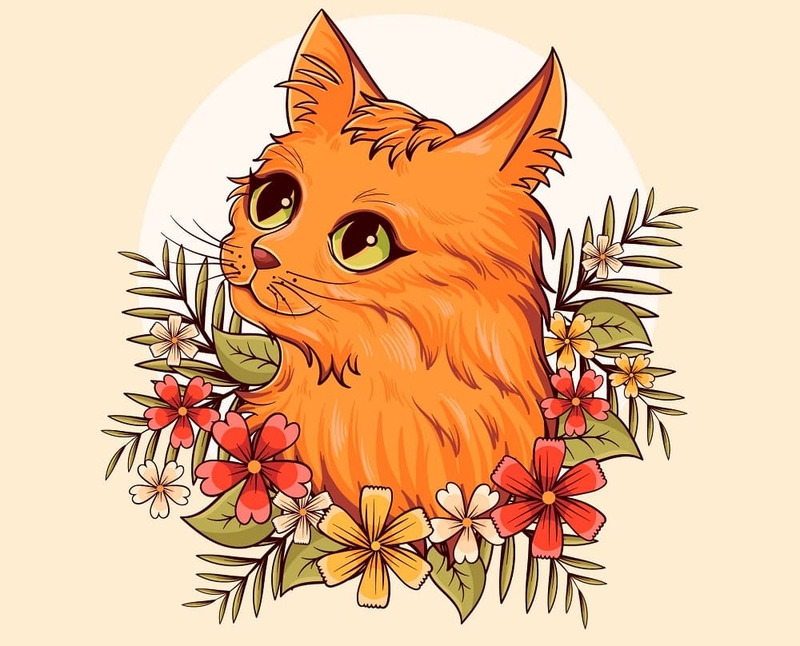 tuổi mão hợp màu gì hình 1