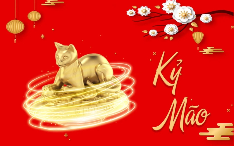 tuổi mão hợp màu gì hình 3