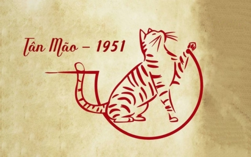 tuổi mão hợp màu gì hình 4