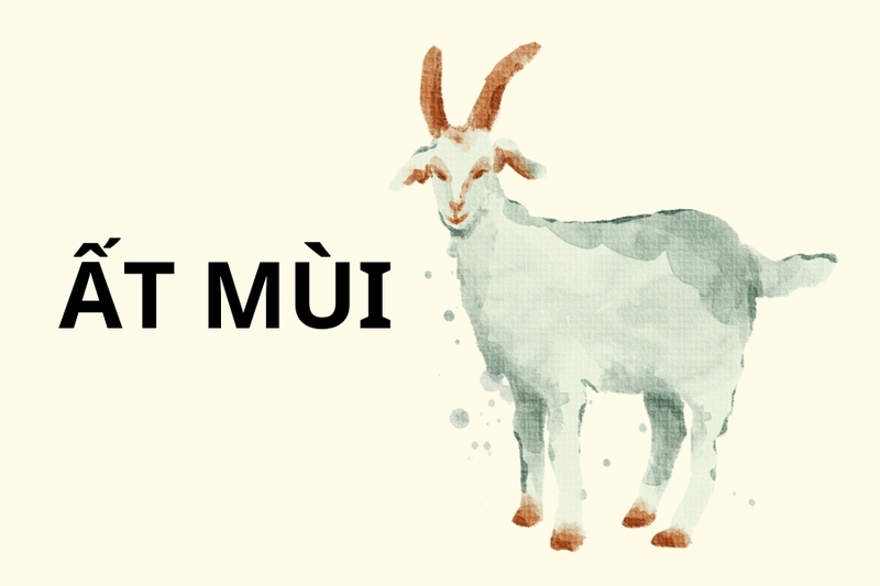 tuổi mùi hợp màu gì hình 7