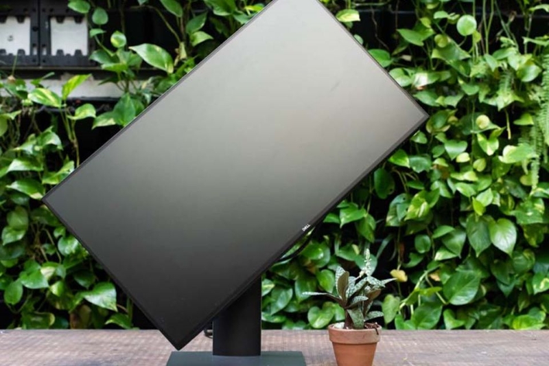 ultrasharp (ảnh 2)