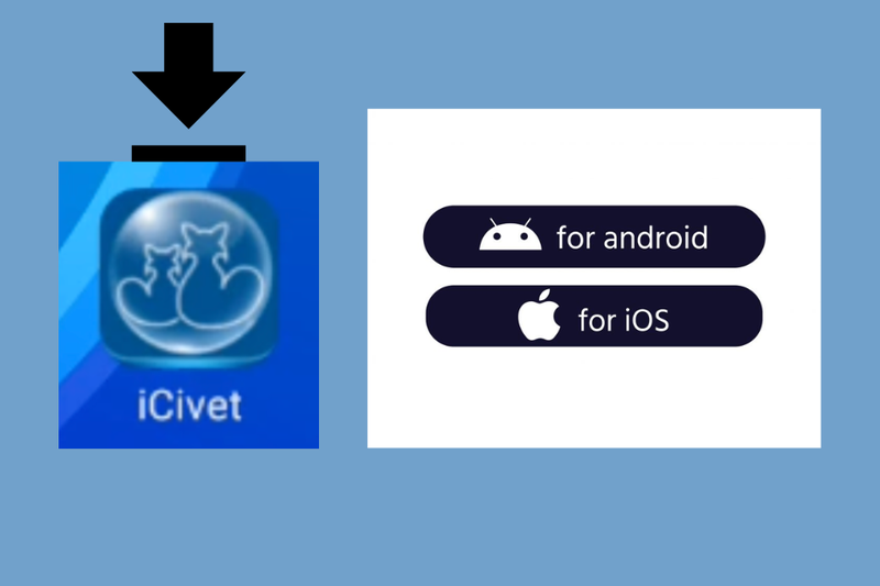 Ứng dụng chấm công iCivet (3)